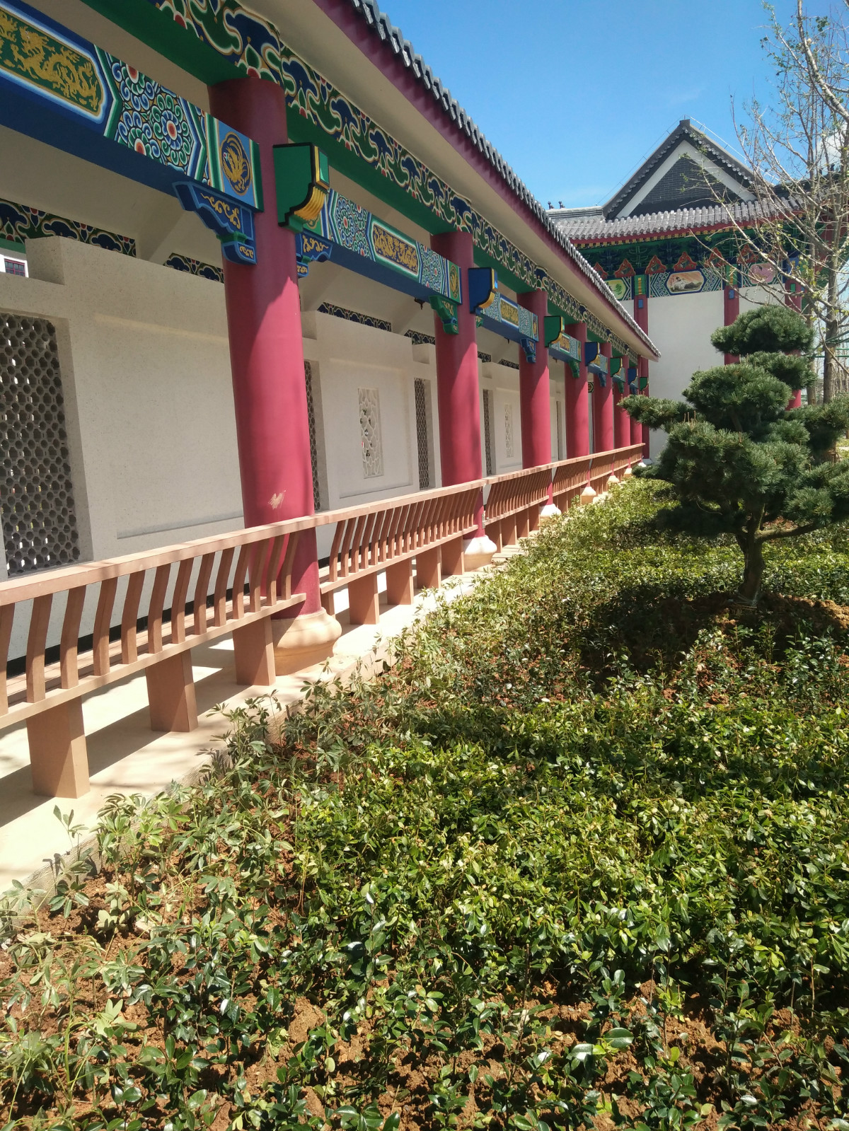 學(xué)校|醫(yī)院